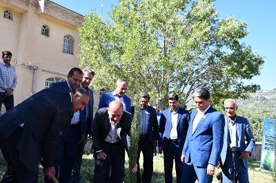 کاشت نمادین چهار اصله نهال سرو در سد شاه قاسم یاسوج